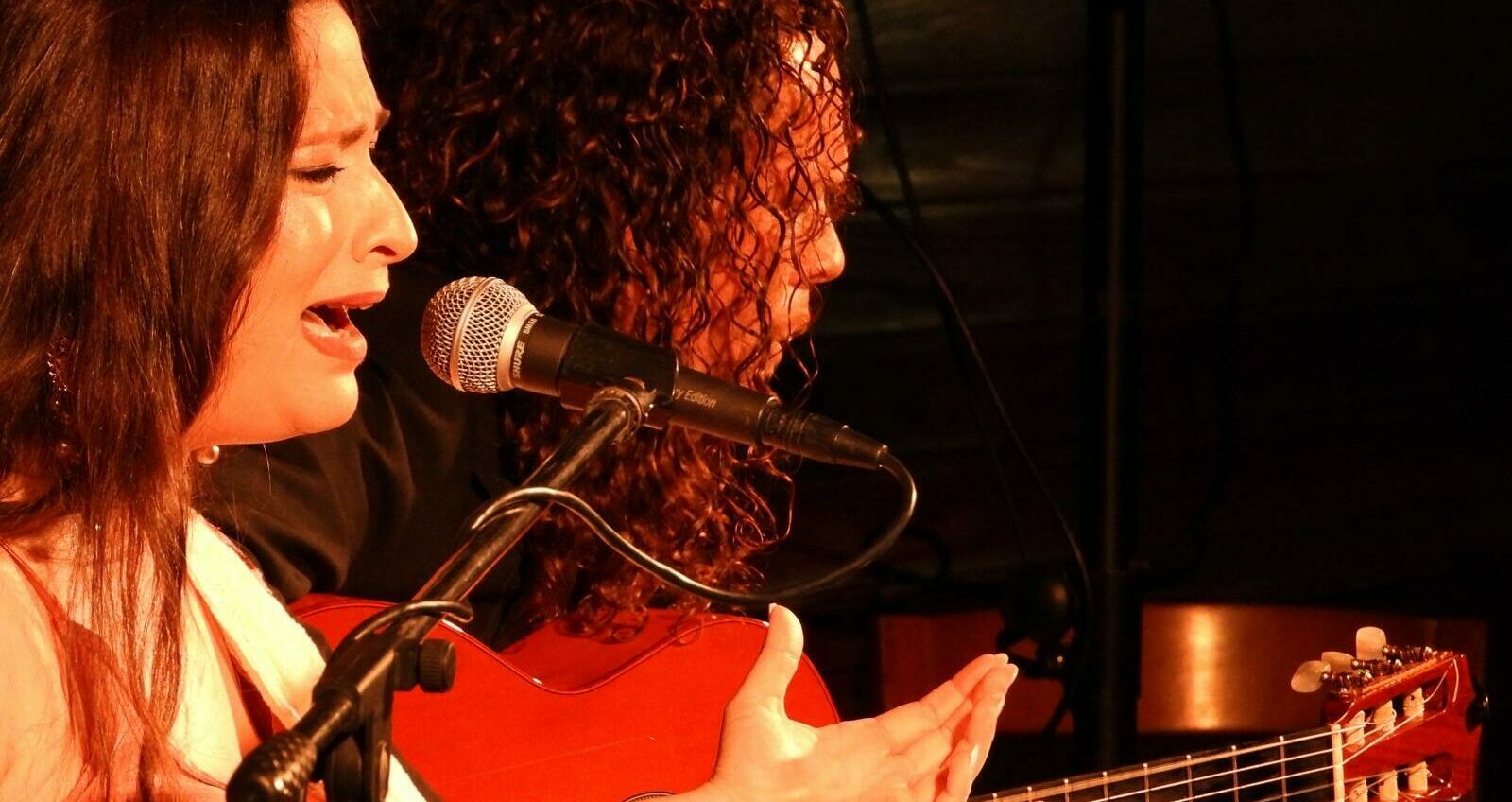 Ana Brenes: raíz y vuelo