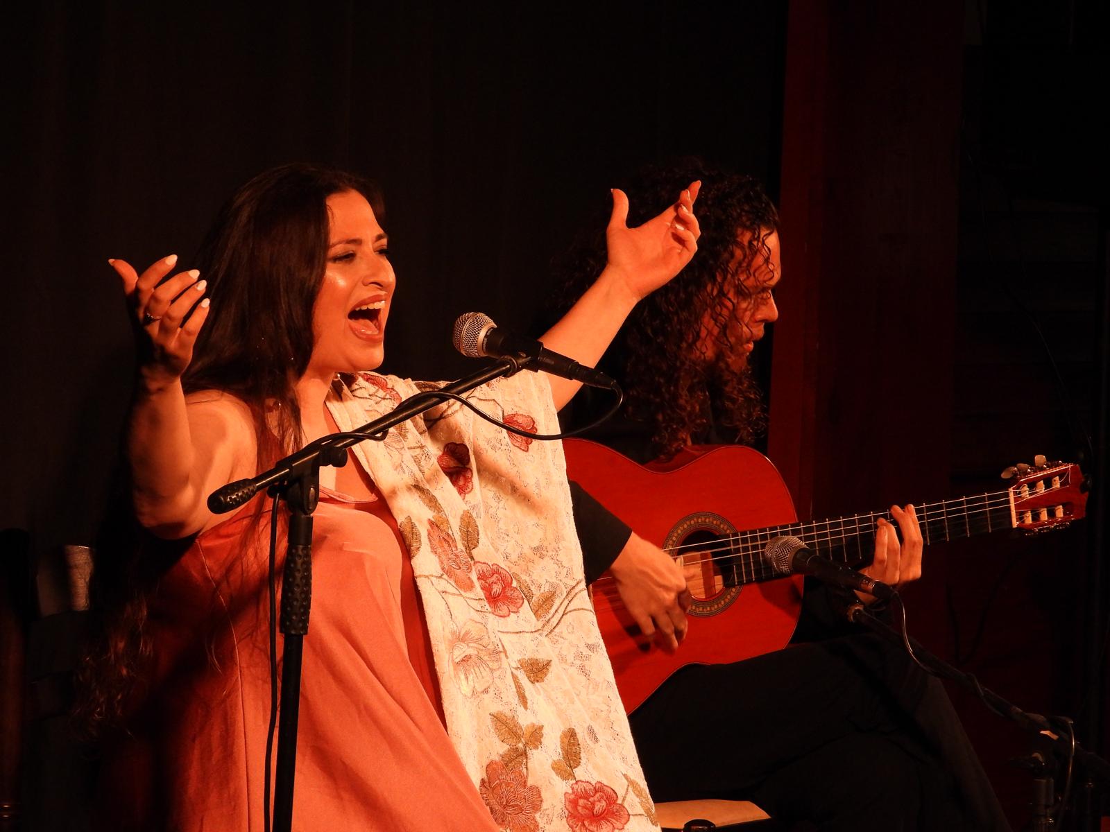 Ana Brenes: raíz y vuelo